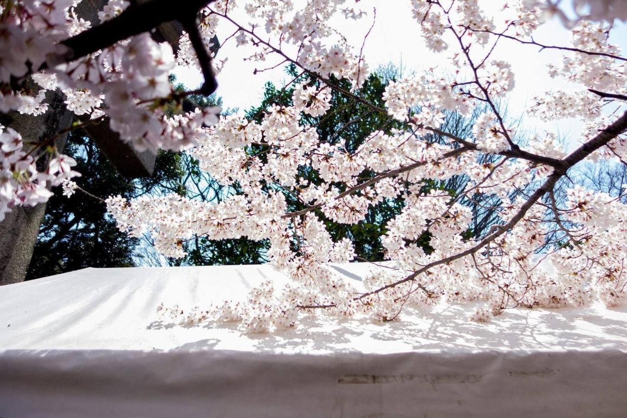 Tora Tokyo-kitaueno 寅ホテル北上野 Apartment